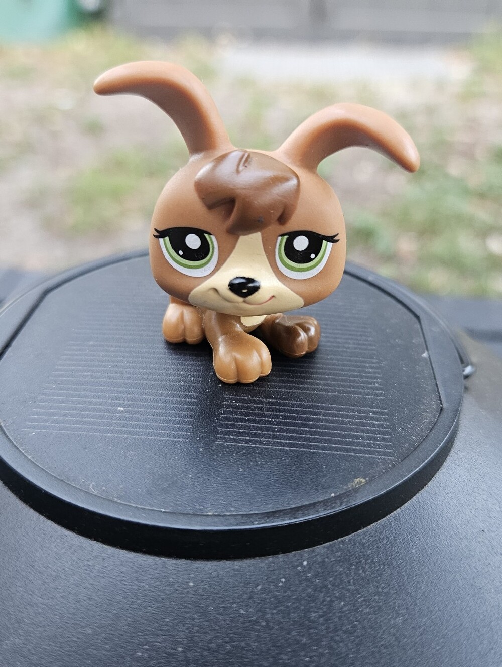 PUPPY DOG Brown/Green Eyes #1338  - Littlest Pet Shop - Hasbro LPS Toy